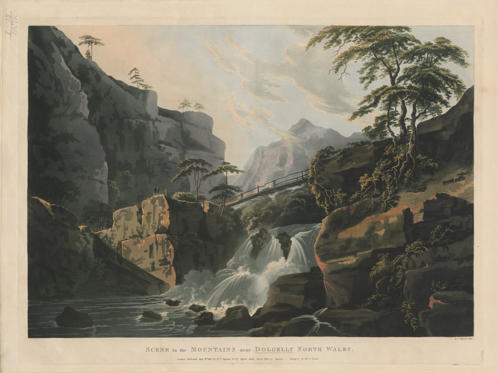 Une passerelle traverse un plan d'eau agité en pleine forêt