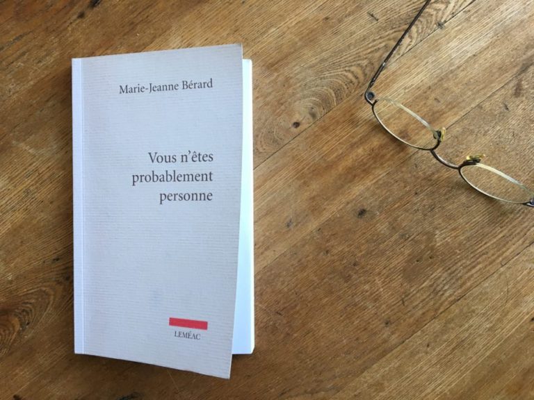 Couverture de l'ouvrage Vous n'êtes probablement personne