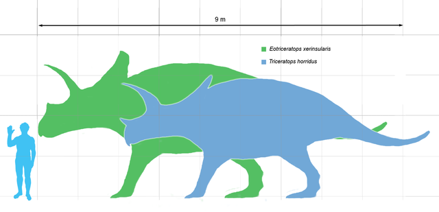 Dessin de tricératops.